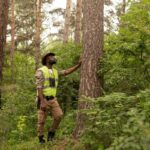 Choosing Professional Tree Lopping Sydney Over DIY Solutions