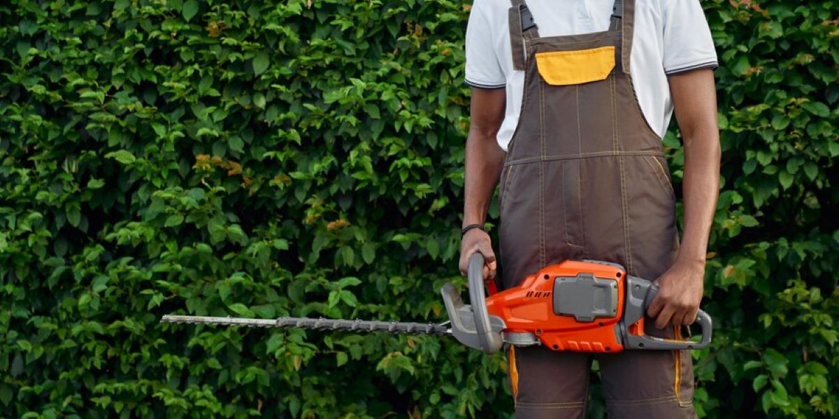 Get Your Free Hedge Trimming Estimate Today