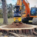 Understanding Stump Grinding